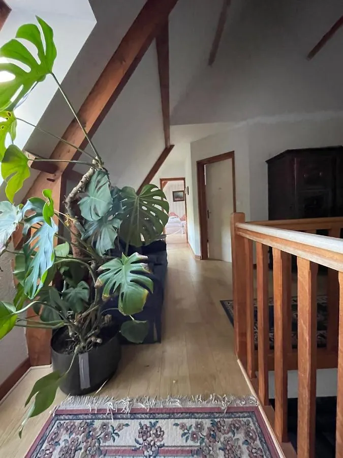 Holiday home Grande Maison Avec Piscine Couverte Et Chauffee Saint-Barthelemy  France